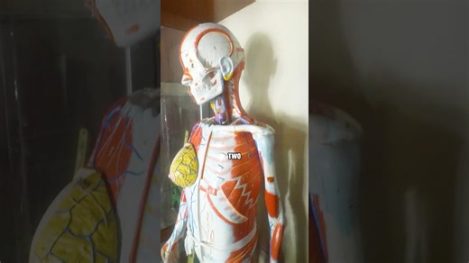 What I discovered at this epic thrift store