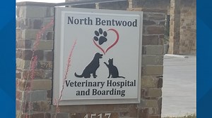 Protecting your pets during a pandemic