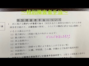 ダメ元で申請します^ - ^【特別障害者手当】