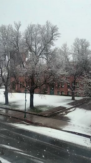 Here are a few fun Flagstaff activities to get you into the holiday spirit: Polar Express Nov 7 – Dec 30 Hop aboard the Grand Canyon Railway for a magical holiday ride the whole family will love. The Man Who Saved Christmas Nov 26 – Dec 21, 2025 Catch this fun musical at the Doris Harper-White Playhouse. Follow a curmudgeon set on canceling Christmas, a toy tycoon determined to save it, a precocious niece, and a pair of star-crossed lovers. The North Pole Experience Nov 21 – Dec 24, 2025 Step in