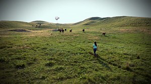 49 reactions | Megan Helberg, rancher and 2020 Nebraska Teacher of the Year, explains why she watches, listens to and supports Nebraska Public Media. Help support the programming that you and the communities you live in rely on every day. NebraskaPublicMedia.org/donate 800-989-8236 | Nebraska Public Media | Facebook