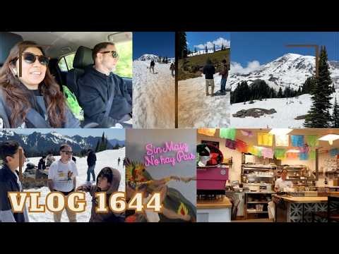 Beautiful experience hiking Mount Rainier | Mexican restaurant that TikTok recommended