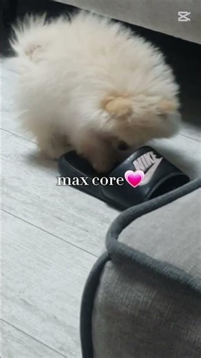 max core