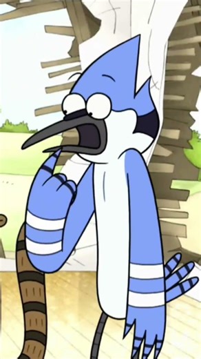 ned Flanders reaction Benson was angry at Mordecai and rigby for damaged the house