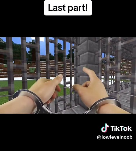 Last part! #fyp #fypシ #lowlevelnoob #realisticminecraft #minecraft
