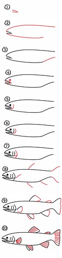 How To Draw A Rainbow Trout (realistic) - Art For Kids Hub — Free Drawing Lessons for Kids -