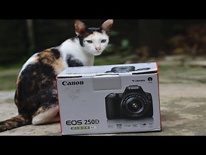 Canon 250d SL3 Unboxing and 4k video Tasting