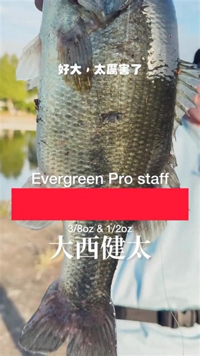 3.1K views · 59 reactions | 大西 Pro 教你怎麼用，Jungle walker Mini 超強 ｜ 裝B的日子 #bassfishing #大西健太 #evergreeninternational #orion #junglewalkermini #金雞湖 #glive | 裝B的B, Baitcaster Reels Specialty, BRS | Facebook