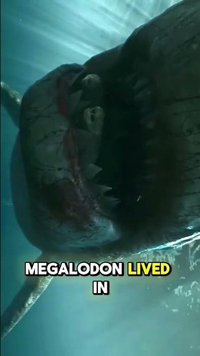 MEGALODON: The Largest Shark That Ever Lived 🦈🌊 #megalodon #shark #ocean #bigfish #mega