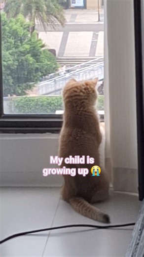 My baby has been learning so much over the past few weeks #fyp