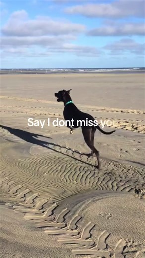 veronica.harwood on TikTok