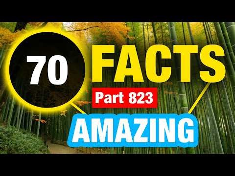 70 Random Facts You Never Knew