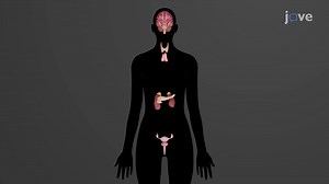 Video: Autoimmune Disorders