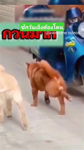 ซักวันเอ็งต้องโดน #funny #reels #awesomevideos #คลิปตลก