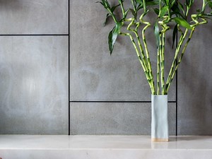 How Do I Care for My Indoor Bamboo Plant That Grows in Pebbles?