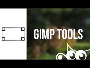 GIMP | Transform Tool Common Options
