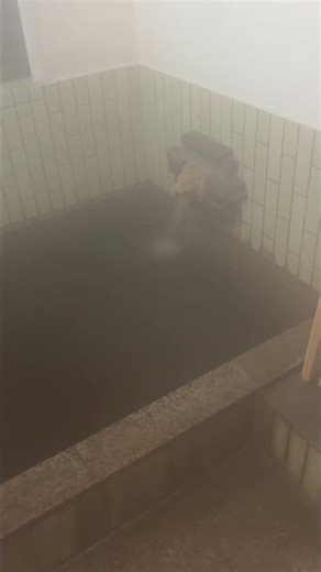 Yoro Valley Hot Springs Minshuku Sakayasan ♨️♨️