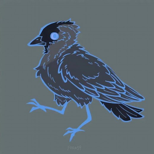 Western Jackdaw 🪶 || Speedpaint || #clipstudiopaint #digitalart #artist