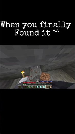 When you are rich in Minecraft