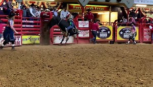 This bull has been cleared for take-off. #CowtownColiseum Bull Drop Top (Blake Sharp / Chris McLendon). American Bucking Bull, Inc. PBR | Humps N Horns Bull Riding Magazine