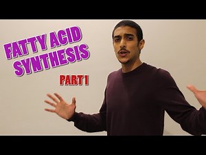 Fatty acid synthesis Part 1 (شرح بالعربي)