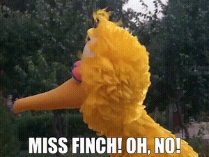 MISS FINCH! OH, NO!