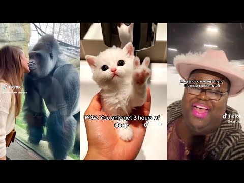 Random videos I watch at 2 a.m. #3