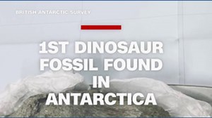 1st-ever Antarctic dinosaur fossil found