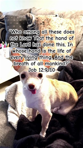 “The Hand of God” Job 12:9-10 #salvation #thegospel #jesusiscoming