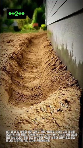 마당 배수 불량 해결하는 프렌치 드레인 시공 #worker #process #drainage #yard #construction
