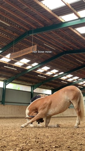 Glow Up der Pferde: Verbeugungen im Fokus!