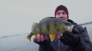 Daiwa Tournament Minnow 95SP - premium hard bait from Japan. | Daiwa Scandinavia