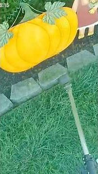 ✂️ Perfect Lawn Edging in Under 1 Minute!