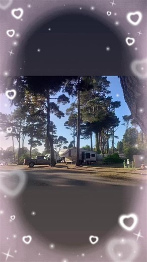 13 reactions | Hidden Pines RV Resort and Campground on Reels | Facebook