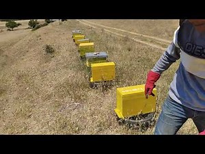 πολλαπλασιασμός για ερασιτέχνες μελισσοκόμους