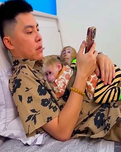 30K views · 1.3K reactions | oh No! Monkey Mit peed on Dad while sleeping with Monkey Kaka | Kaka Page | Facebook