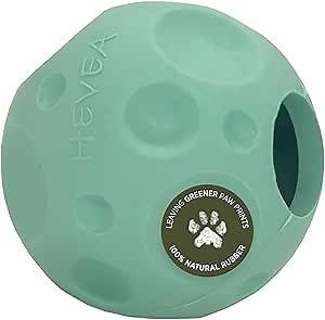 HEVEA Moon Ball Activity Toy for Dogs (Pale Mint)