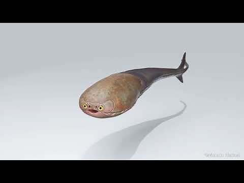 サカバンバスピス Sacabambaspis