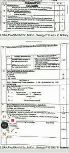 12th std Biology Bio-Botany Public Exam March-2025 Key Ans Public key Ans Revision Bio-Botany key-2