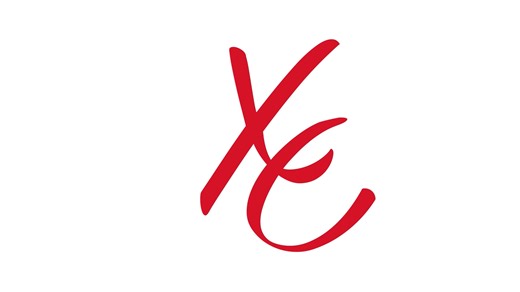 First Time wand - Calexotics