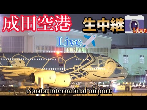 ✈️🐢【2025/10/19 ❷】✈️成田空港 🛬本生📸中継 ライブ配信 【✈️Narita international airport ⌚𝐫𝐞𝐚𝐥 𝐭𝐢𝐦𝐞📸 Live】
