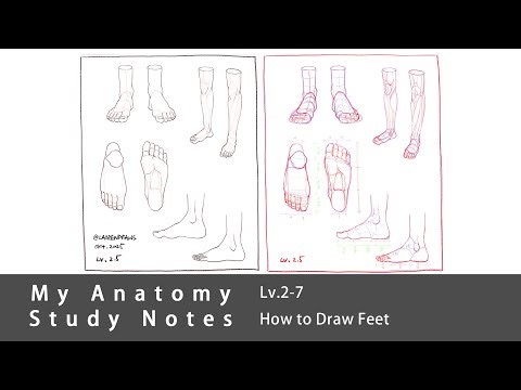 My Anatomy Study Notes Lv.2-7 | Drawing the Human Foot Step by Step