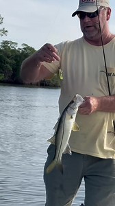 Snook fishing with the DOA C.A.L. 3” shad tail. DOALures.com | DOA Lures