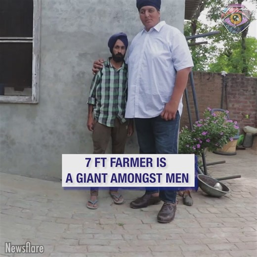 52K views · 135 reactions | How's the view up there? | HomeChic | Facebook