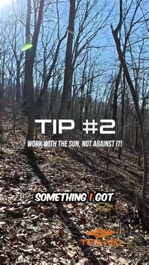 How to find more deer antlers!