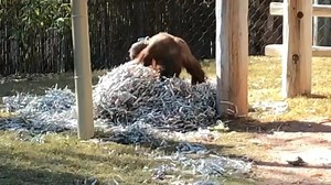 2.2K views · 348 reactions | Roll into savings this Spring. For a limited time save $20 on a family 4-pack of tickets. | Phoenix Zoo | Facebook