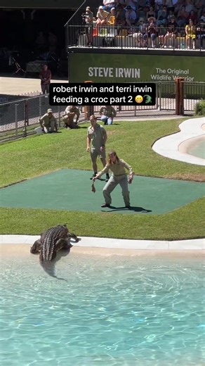 Terri Irwin's Hilarious Crocodile Feeding Part 2