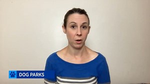 The dog park is *not* a place to teach your dog how to socialize. Behavior Consultant Kate Naito tells us more. | American Kennel Club