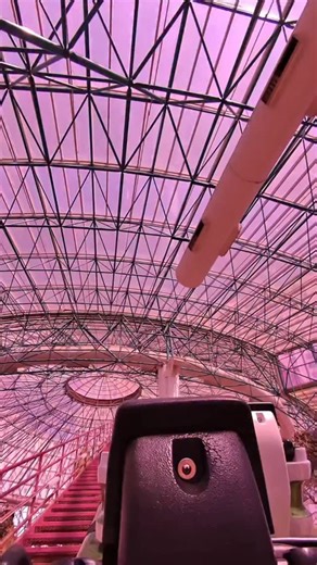 3.3K views · 30 reactions | Riding Back Row of Canyon Blaster at the Adventure Dome in Las Vegas. This one absolutely hurts. Too big a coaster stuffed into too small a spot leads to an uncomfortable ride where I blacked out a bunch due to excessive Gs. What do you think? #lasvegas #adventuredome #canyonblaster #rollercoaster #coaster | Walrus Carp | Facebook