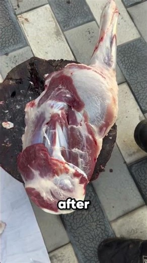 Why Is This Meat Still Moving After Being Cut? 😳